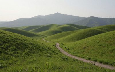 Landschaftsmalerei: Wie Natur zum Hauptmotiv wurde